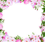皮套喷绘花草环花圈手绘图