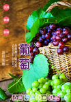 葡萄