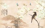 玉兰花鸟