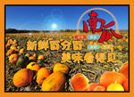 南瓜