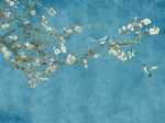 中式手绘花鸟图背景墙装饰画