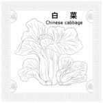 白菜线描