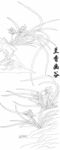 兰谷幽香