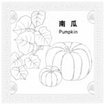 南瓜矢量