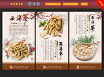 西洋参