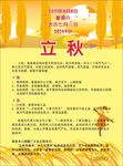立秋-小麦