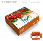 生鲜果蔬包装箱包装礼盒设计