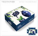 时尚卡通蓝莓包装箱包装礼盒设计