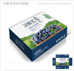新鲜蓝莓包装箱包装礼盒设计