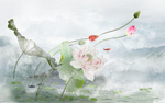 荷花背景墙