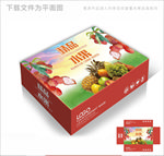 精品水果高档包装箱包装盒设计