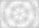 银镜子 农业证书纹