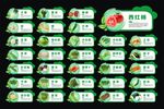 蔬菜