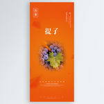 提子