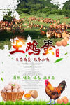 土鸡蛋  权萌萌4