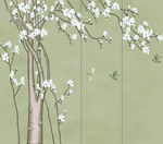 玉兰花