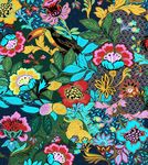 花鸟