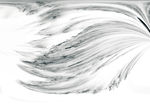黑白灰