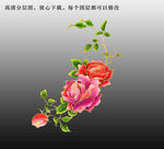 手绘牡丹花