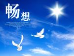 畅想