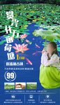 兴化旅游海报