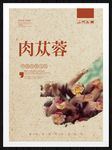 肉苁蓉