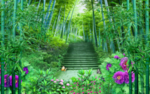 鸟语花香竹林背景