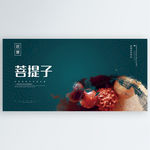 菩提子
