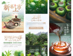 茶叶详情页