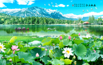 荷花风景画