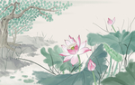 中国风荷花工笔画