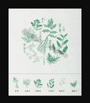 中药图案