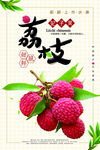 荔枝海报