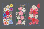 干花