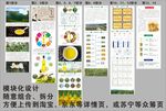 茶油详情