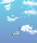 蓝天