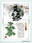 艾灸养生展板