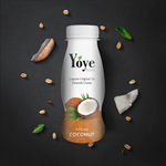 水果系列包装设计-椰子味