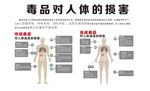 毒品对人体的损害