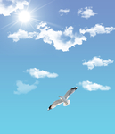 蓝天