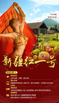 新疆旅游海报