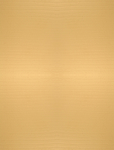 纸