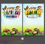 野生菌
