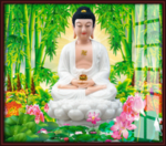 释迦摩尼