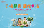 水培植物 抱枕 绿植 diy
