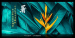 芭蕉绿叶