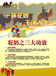 旺源驼奶
