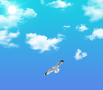 蓝天