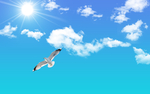 天空