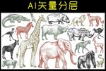 动物线稿